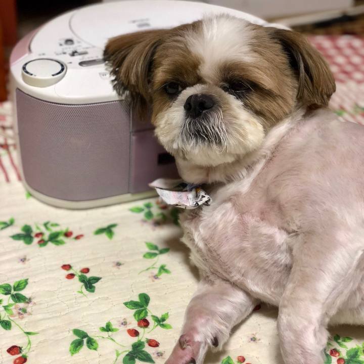 39b850a3 d643 4670 a6da 11a1b1329c97 1535781674489