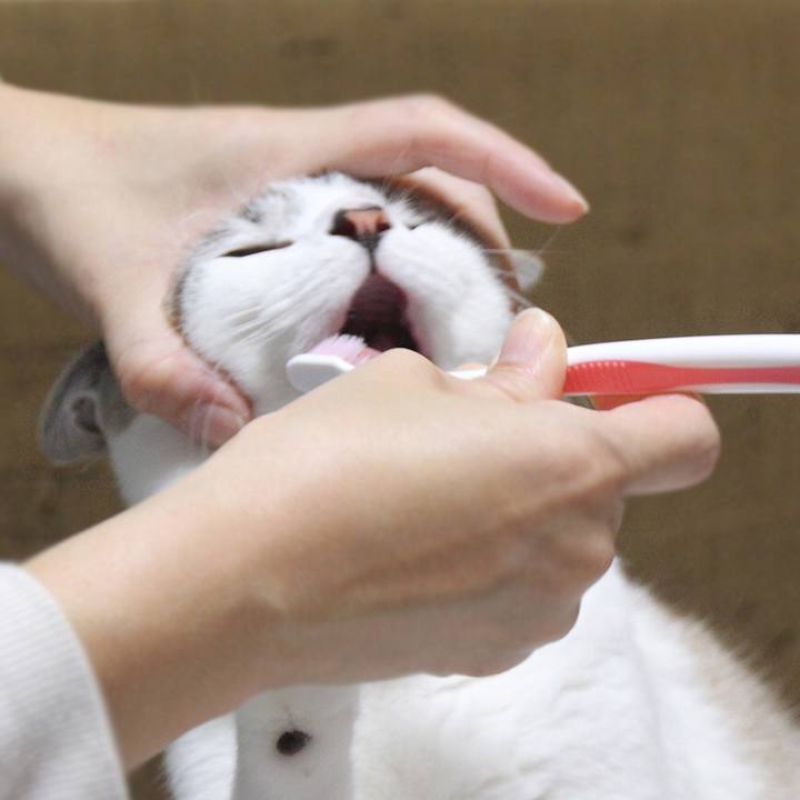 39b860ba 213a 43ec a7ed fcc5b2d188a5 1658825484804