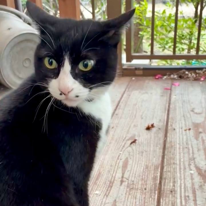 39b8792e 1a44 4113 8021 2d38d99c7708 1772023495800