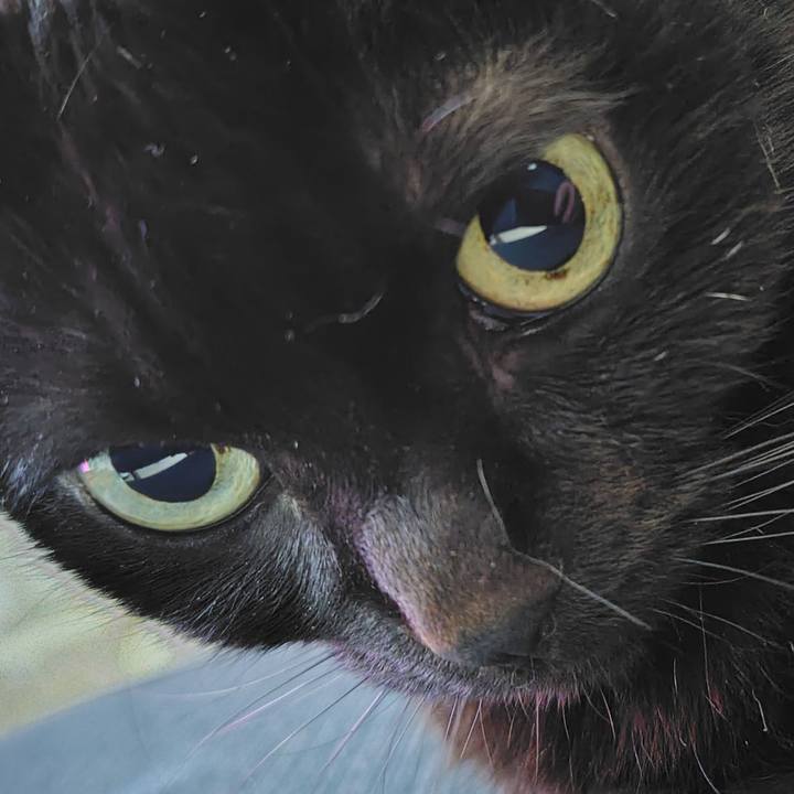 39b88004 ddbb 4b4f b937 a2a8f06c45c4 1772200490642