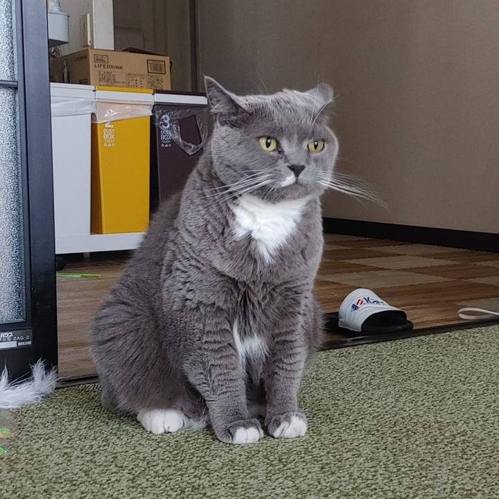 39b88b09 7dac 4ba5 9293 b8f6cf653232 1718145410153