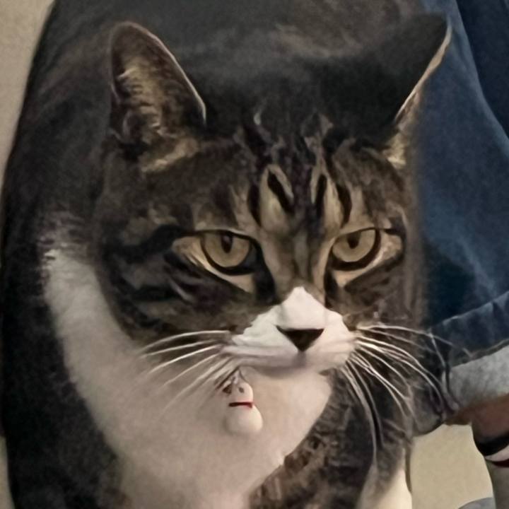 39b89cc6 fcb7 4116 b668 9e324f67b4bb 1768177739924