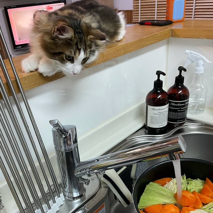 39b8b08b 8366 4b8f 8388 32194670f45a 1636449266820