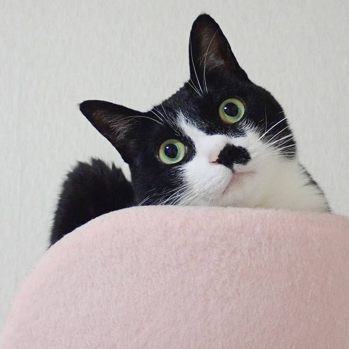 39b8de7c 3782 462d 9193 945a801c803f 1526788434375