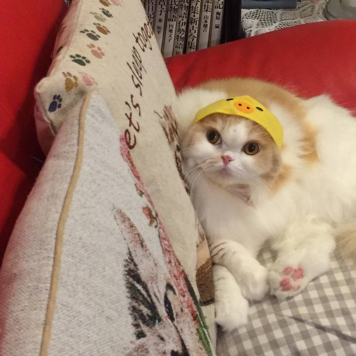 39b8dfb6 0778 4321 82f7 cb7d48642eeb 1538220045318