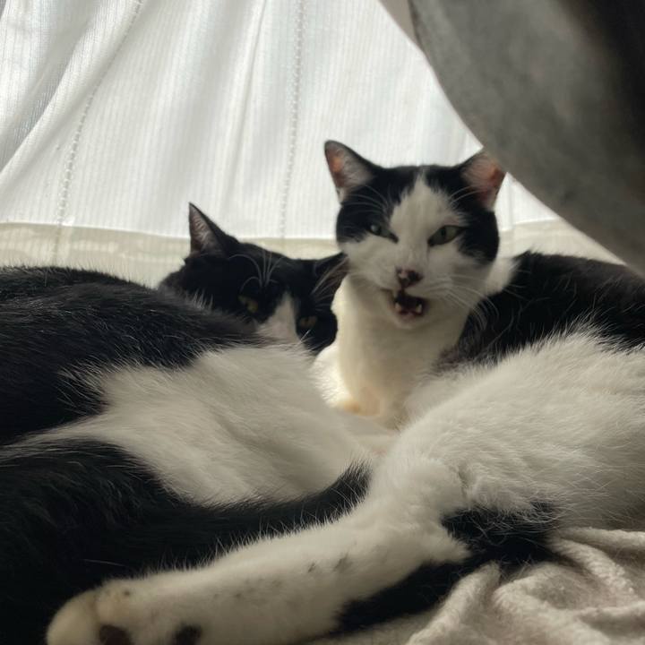 39b8e9ce 22f3 4753 94bc 1a45cb783f2c 1761823723280