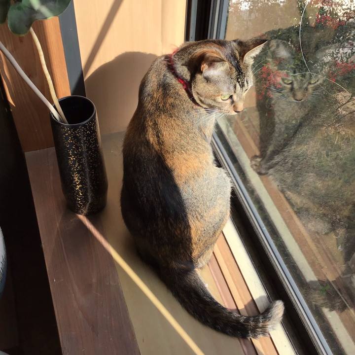 39b8efc9 f2dc 4b15 9854 cc2f5f7c25b7 1604735605735