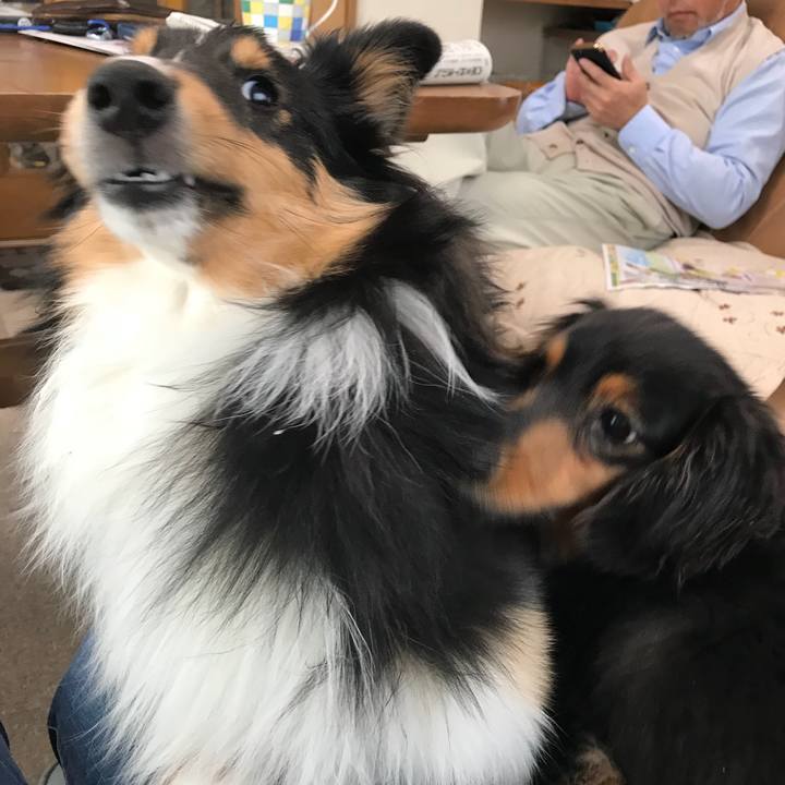 39b8fcfe 088a 4081 9cbf 45db18f8ae4d 1523829617601