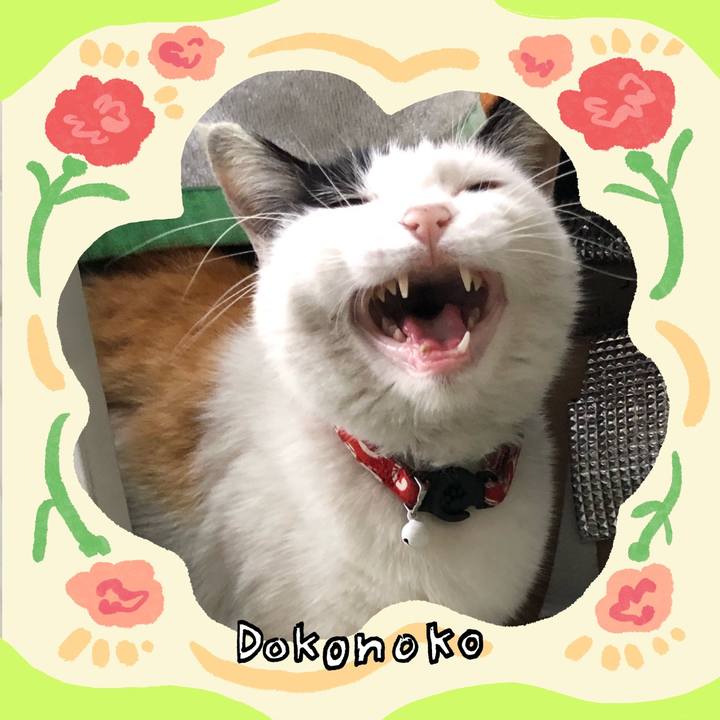 39b94a65 cfe7 4038 a921 0adb7d7ca189 1714910301580