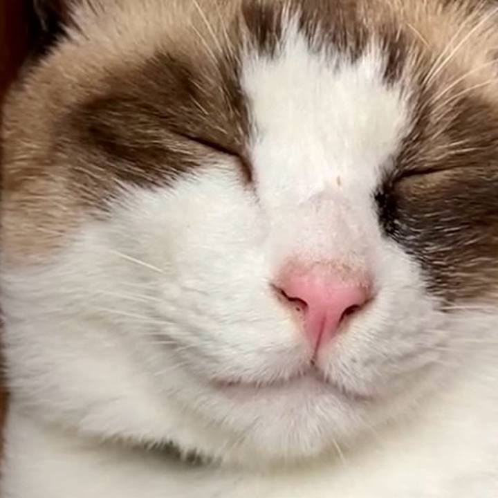 39b97055 5419 4517 aece e9d712edd309 1728446867584