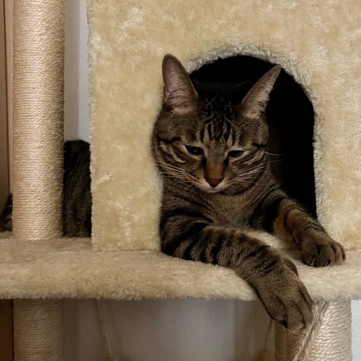 39b983e3 97e1 4ad2 bac3 051520a6d5b5 1760919370268