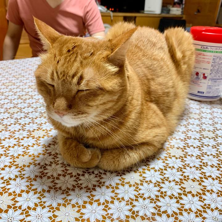 39b9a692 da6a 40f9 aacd 80167a6ef92e 1597152895368