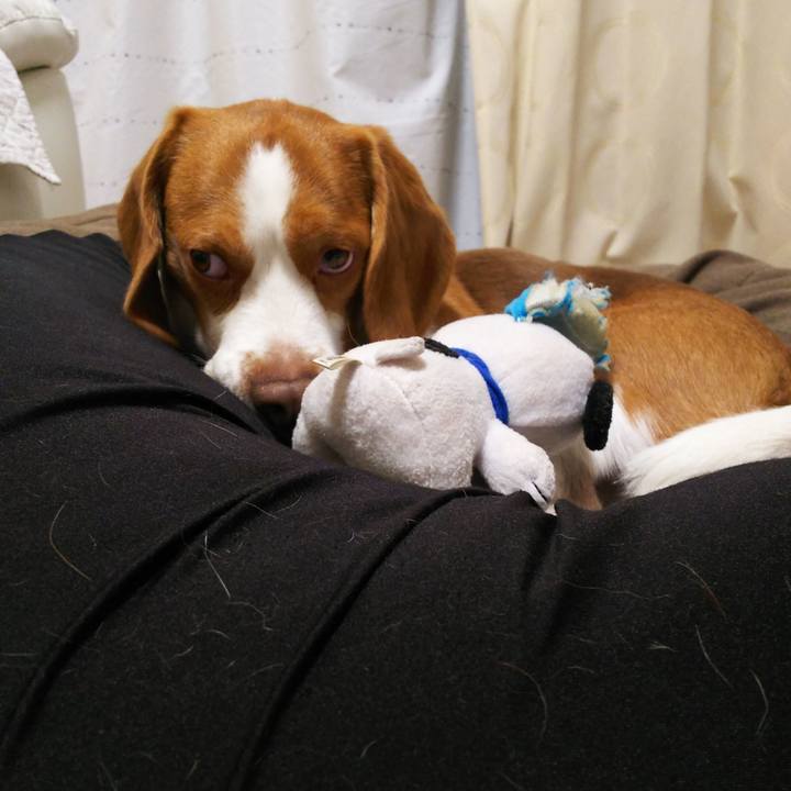 39b9c4e6 6443 49b7 aac1 03e42a0f8686 1558102572465