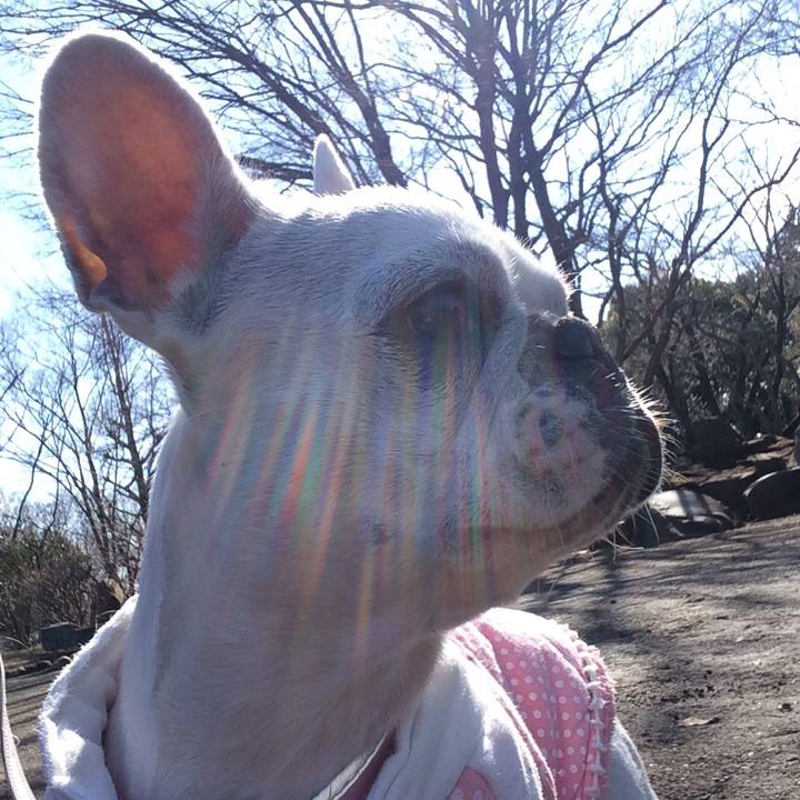 39b9df9f 5492 4f8b 87d8 7dae90bbf428 1518409909359