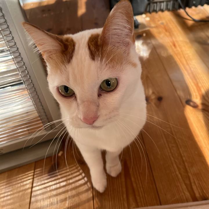 39b9f06b 166a 450e b1a3 d53d7dd28790 1768048073212