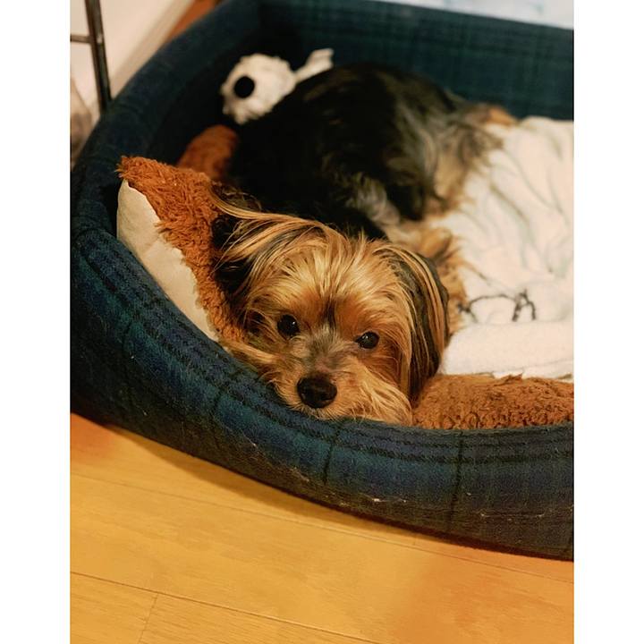 39ba1b12 0b04 465d 9eac 04793dde9139 1571129227020