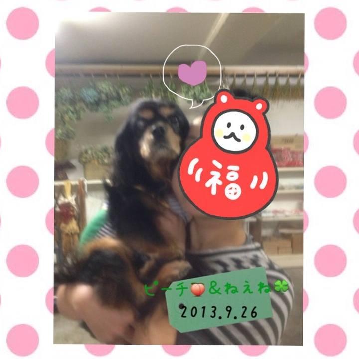 39ba7ad8 a99c 4f19 90b5 e8b4a06b4d2f 1516168451927