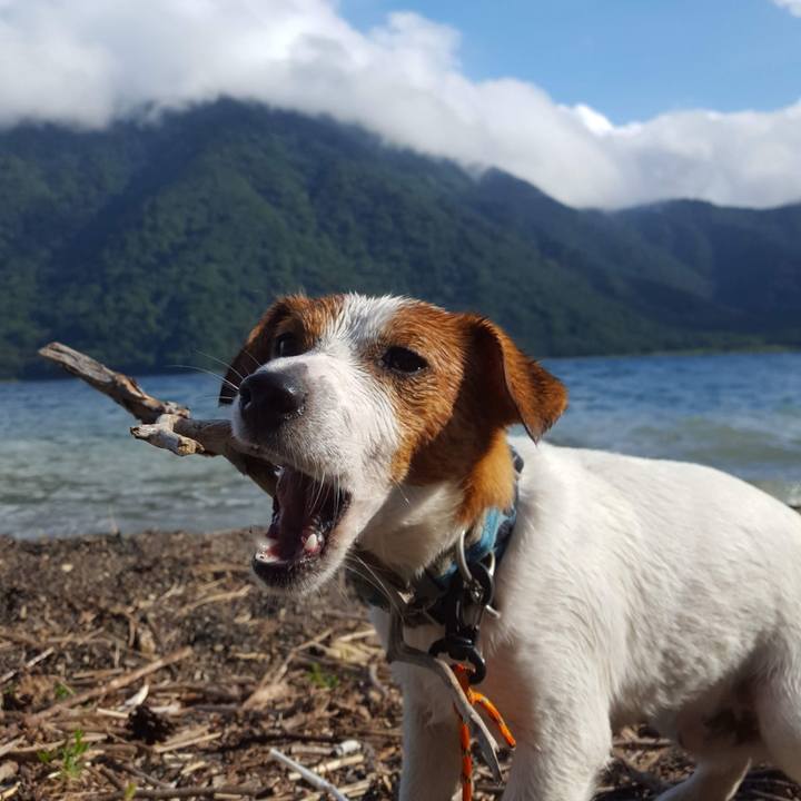 39ba93fb 9a81 45e1 8823 af6ff980cb27 1567410673687