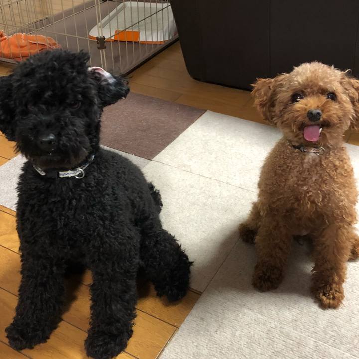 39bae478 8496 4dfe afa9 3e3ea44eb839 1538690923028