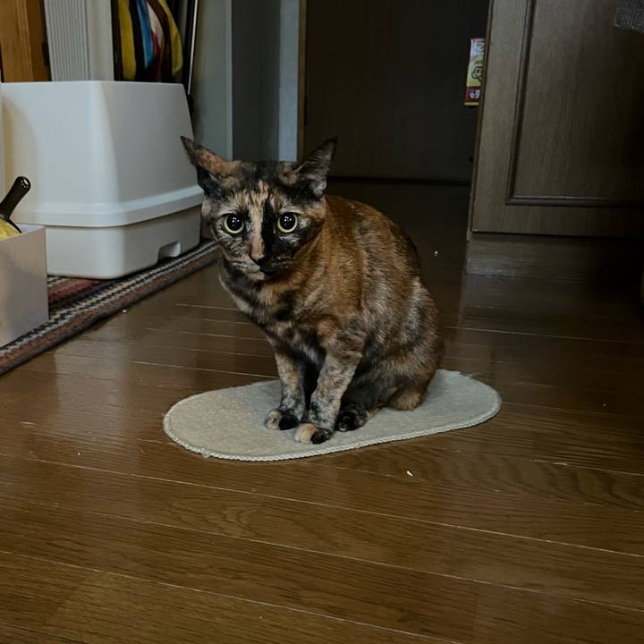 39baf44e 062e 4bdd b404 9c6d76d090ab 1697577191943