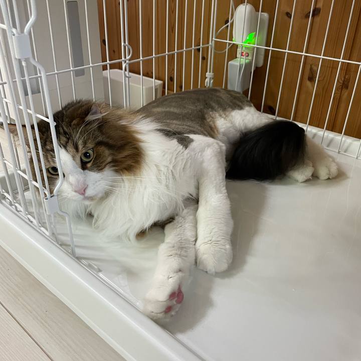 39baf80a cdc0 4688 b5d1 4d1f362b71f5 1687519223725