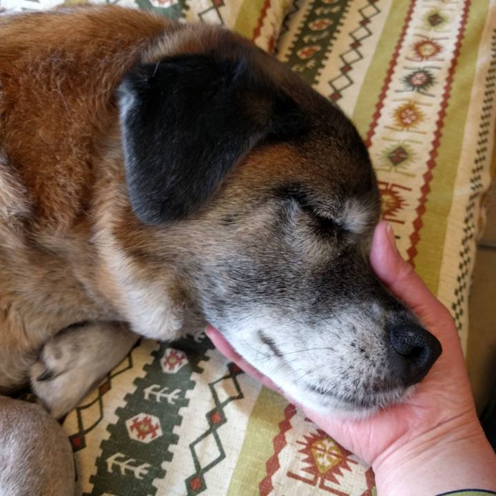 39bb2078 0213 4bf3 b960 fd64e054959b 1552525500658