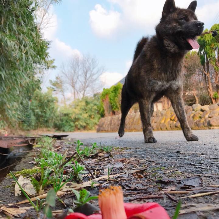 39bb23d2 ba6b 4011 9098 37952515d16c 1521933616819