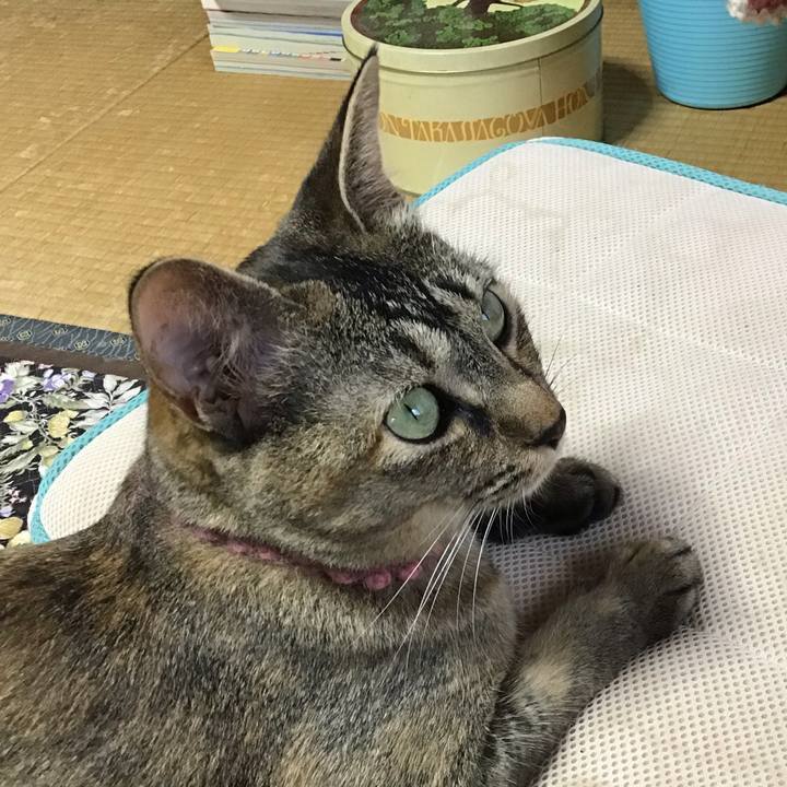 39bbb2f9 7d09 4f88 8662 2a2a16337b66 1594795222814