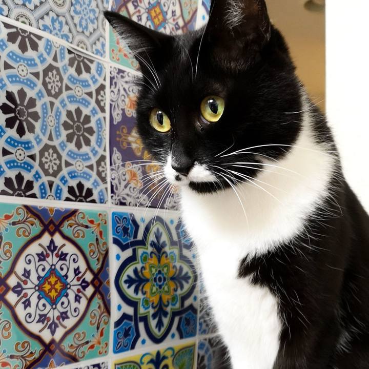 39bbbfbe 0e78 45ad a172 aac364d4ac9f 1547610732104