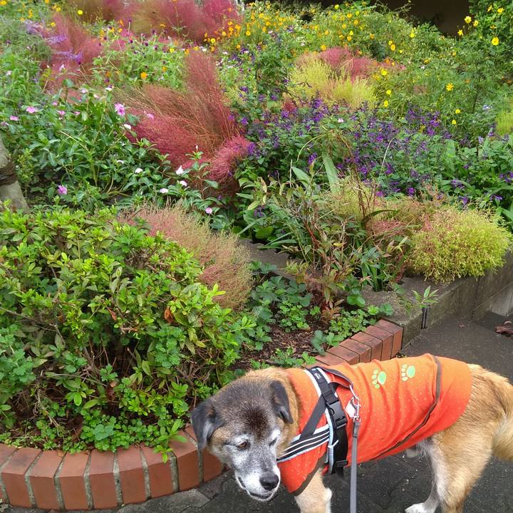 39bbcb6d 644b 4b30 bfc1 f3341a4947fa 1571096691664