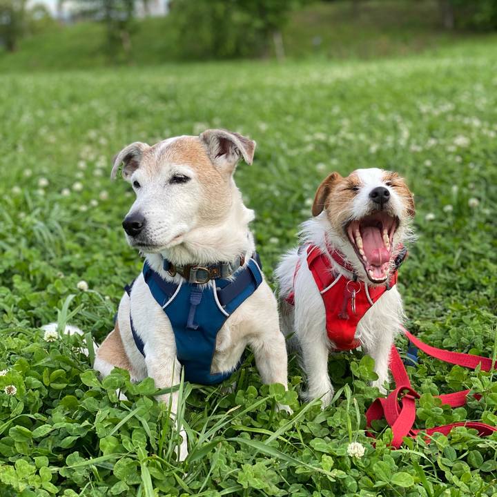 39bbce9c 59ba 476b 8cde f2e08a1e31fb 1651916100289