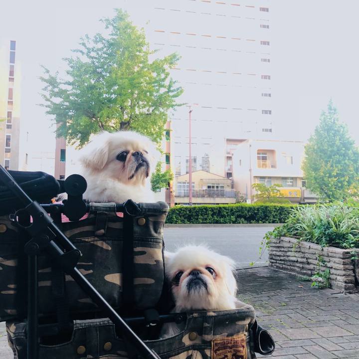 39bbd0f9 e0b0 4bb5 bfa1 4b95c27585b0 1571800857300