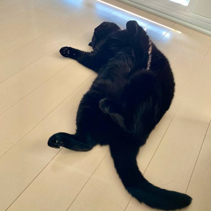 39bbdc20 5256 4b57 94d2 2f4f04fd0028 1664512581883