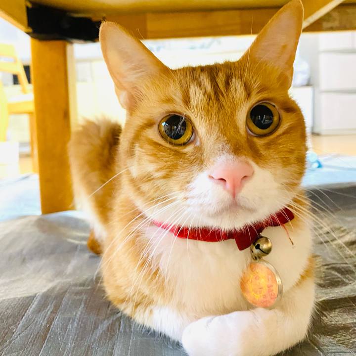 39bbf3bf b3c6 4a43 be73 11c4fd97b016 1685744916387