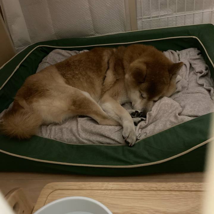 39bc03d0 96fc 471a a49c b44b5ee736e9 1607406864046