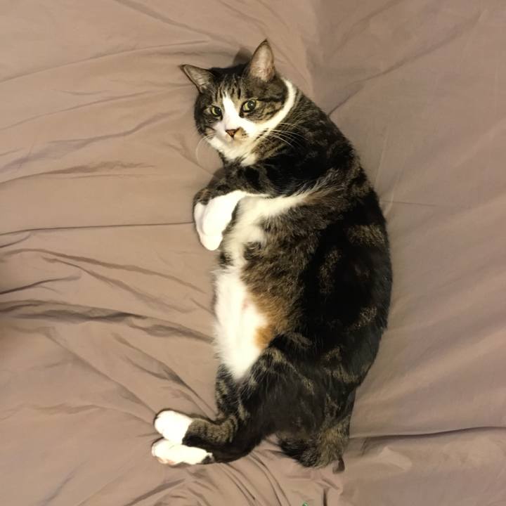 39bc095c 029e 4ff5 b172 e1b95c95aa06 1514472229328