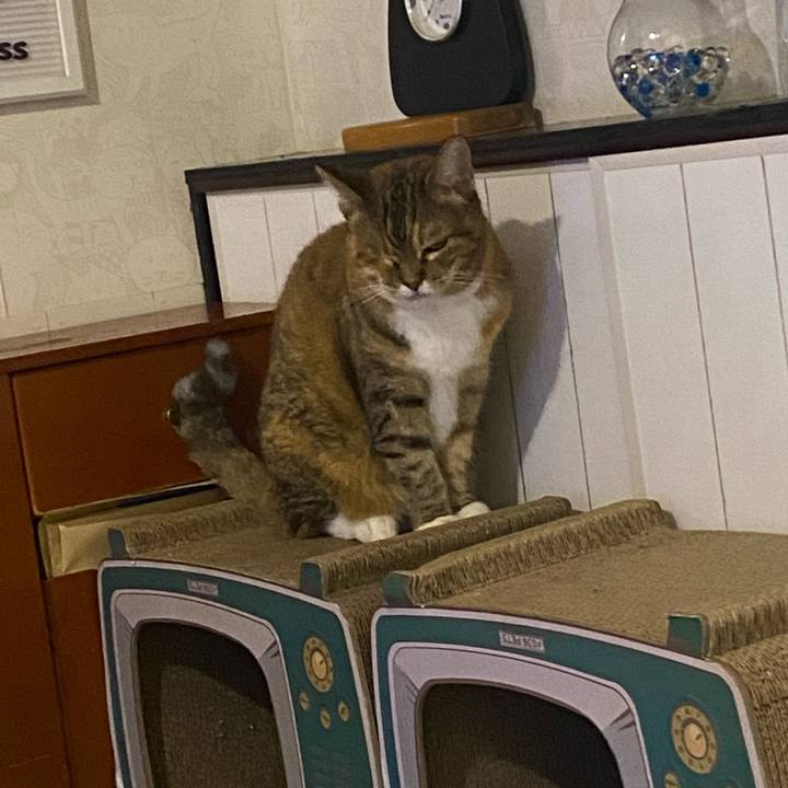 39bc17a0 1173 4715 a8a0 8c4d66287e18 1660956954510