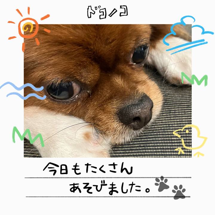 39bc20b3 7d9b 46ad 94f2 820eaa7bc91c 1755147278321