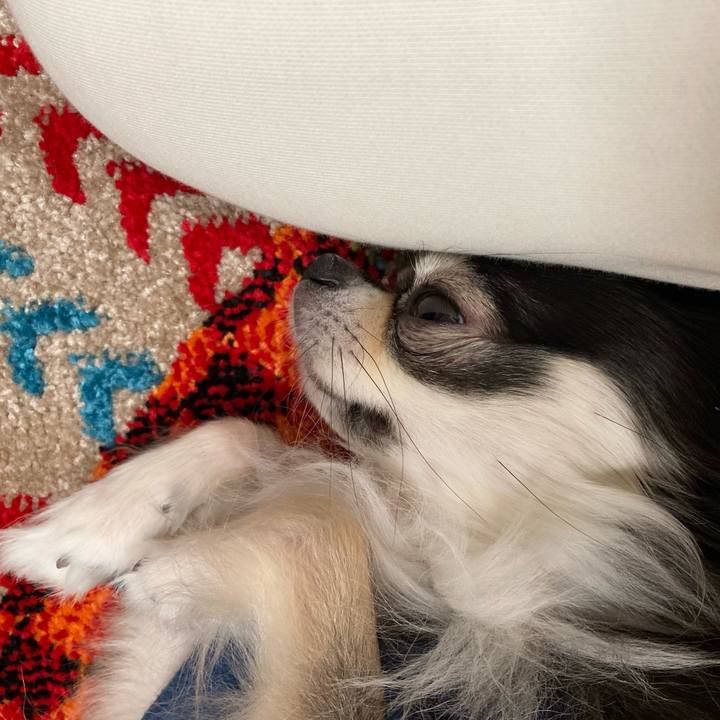 39bc5011 f04b 4e7e 8620 ea61a45db410 1681571850460