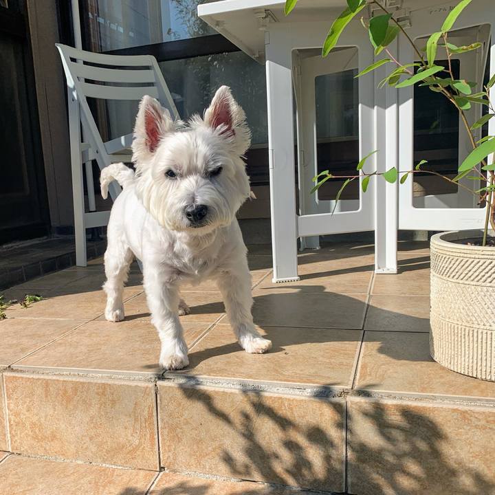 39bc6ee1 5724 4391 b51c ab797e2efea1 1633269451416