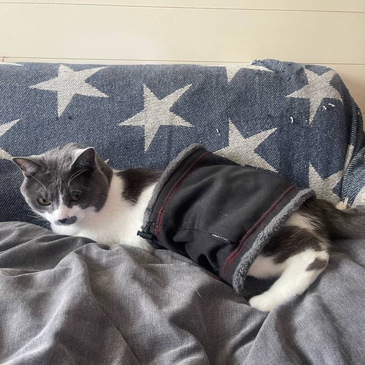 39bc99af 0aa1 4dba ac0c 5c3dbd3cce2c 1650108498194