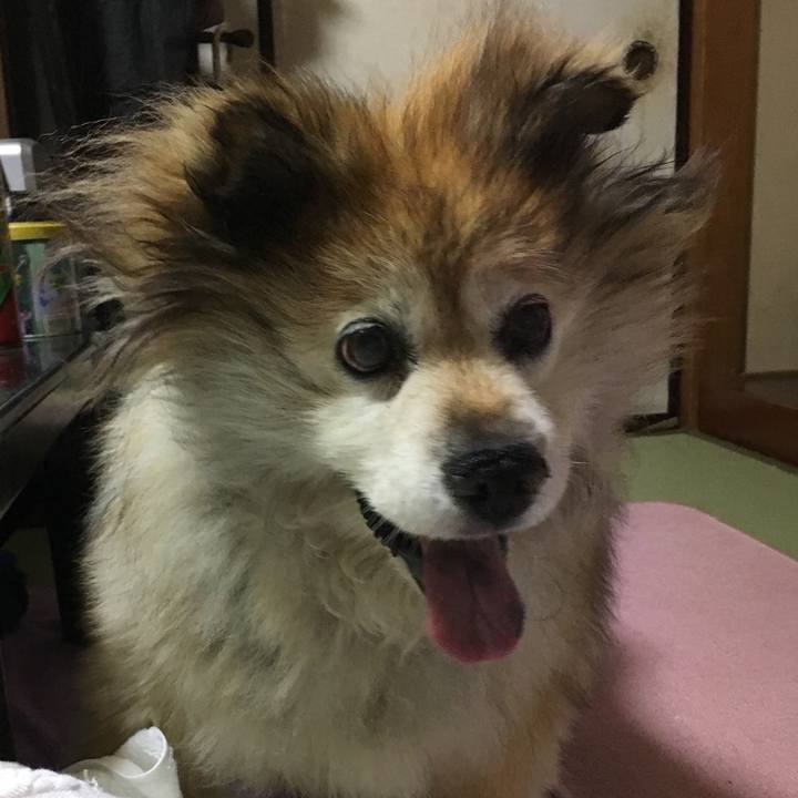 39bca342 6aab 4220 83f9 d0a35cd565e5 1585660038013