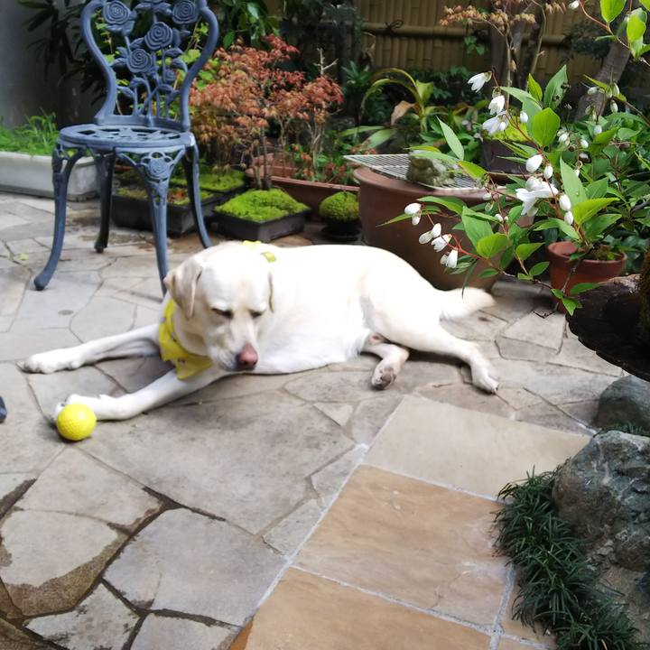 39bcafdd 6cdb 4d60 aaaa c9167cf3d743 1555317382326