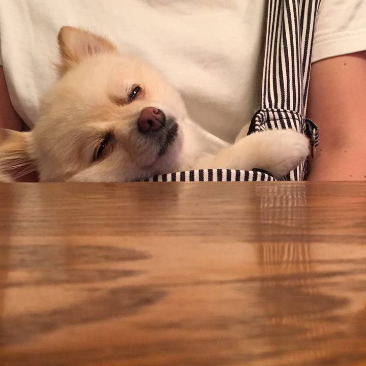 39bcb408 1ad4 4b54 a7b9 869d3dac7da3 1561808459159