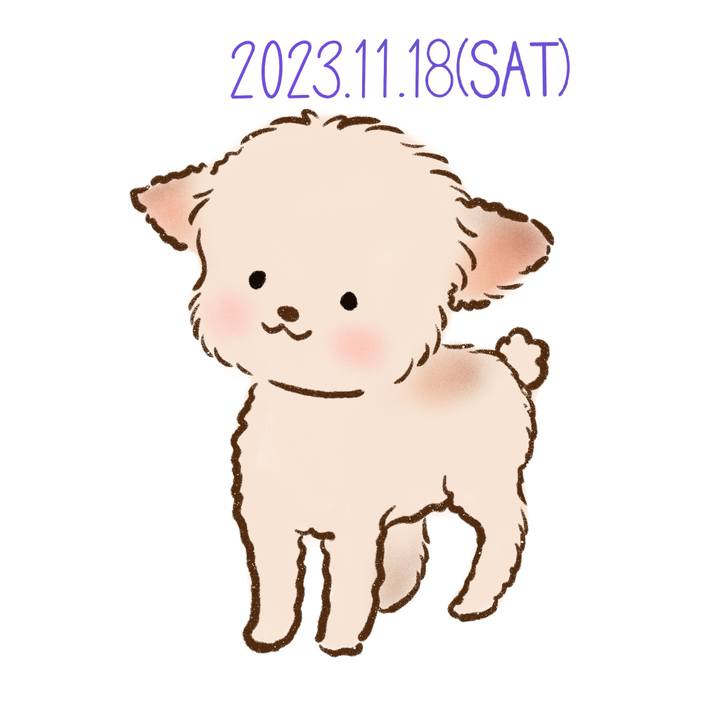 39bcc84c 9c0d 47d9 b3e0 997171d7f5a5 1700316601828