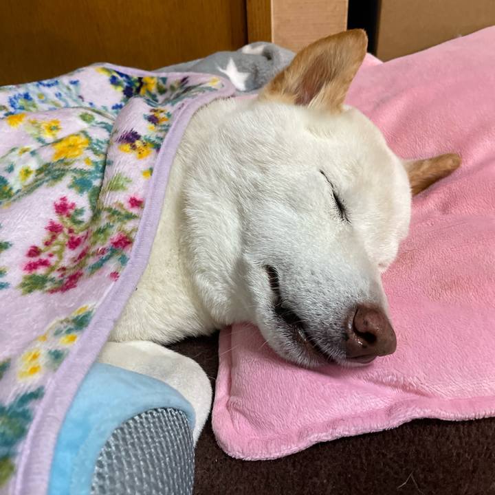 39bd045b a57a 4a0e 96bc c5c216fab671 1648033457400