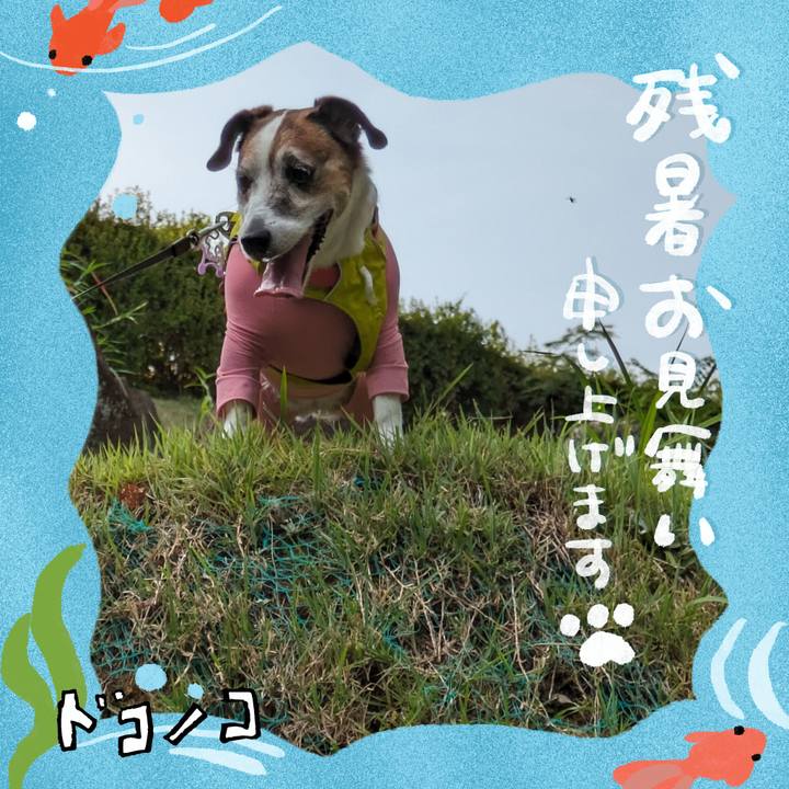 39bd31be eeb8 4351 b86c 238f5f6274ff 1723420813561