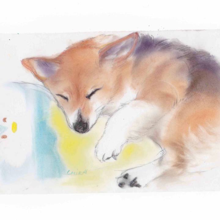 39bd5752 a373 42cd b198 92145f6d6cd4 1594134816345