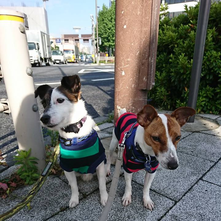 39bd8712 e9b0 4ab7 b256 11ac533fb38d 1527112933068