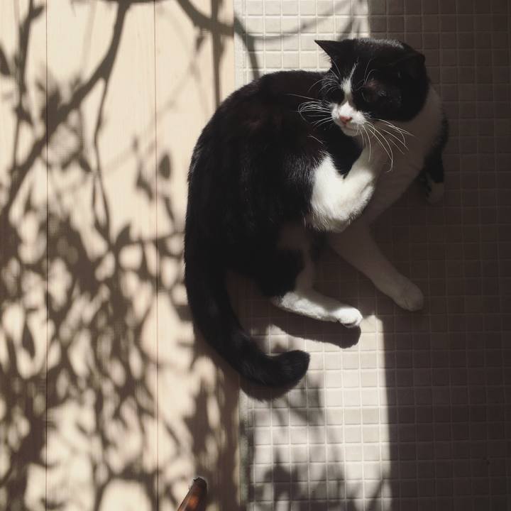 39bdc493 2846 4e44 b9b5 a7404488b480 1605408339926